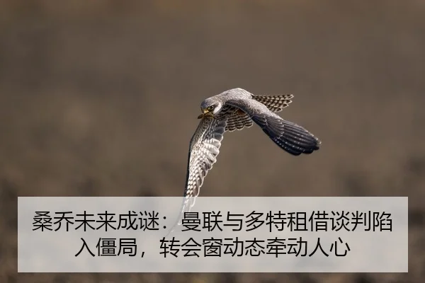 桑乔未来成谜：曼联与多特租借谈判陷入僵局，转会窗动态牵动人心