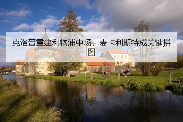 ke-luo-pu-chong-jian-li-wu-pu-zhong-chang-mai-ka-li-si-te-cheng-guan-jian-pin-tu-2-392.jpg