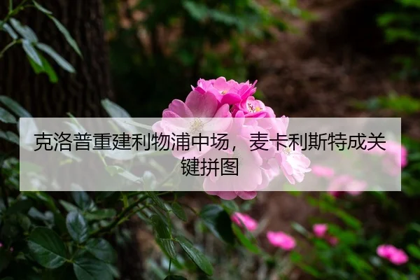 ke-luo-pu-chong-jian-li-wu-pu-zhong-chang-mai-ka-li-si-te-cheng-guan-jian-pin-tu-3-504.jpg