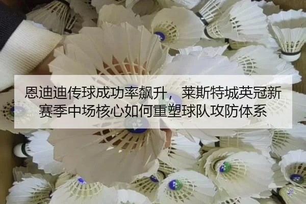 en-di-di-chuan-qiu-cheng-gong-lv-biao-sheng-lai-si-te-cheng-ying-guan-xin-sai-ji-zhong-chang-he-xin-ru-he-zhong-su-qiu-2-766.jpg