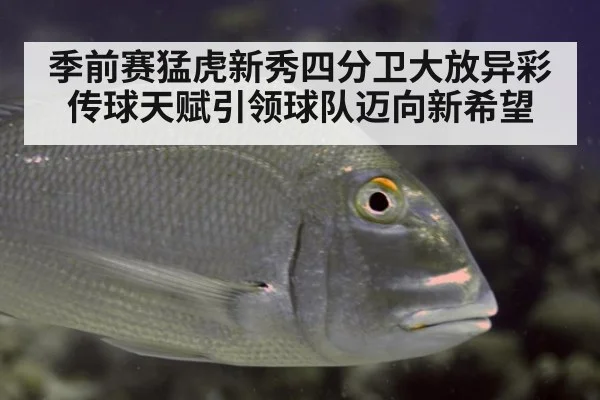 季前赛猛虎新秀四分卫大放异彩 传球天赋引领球队迈向新希望