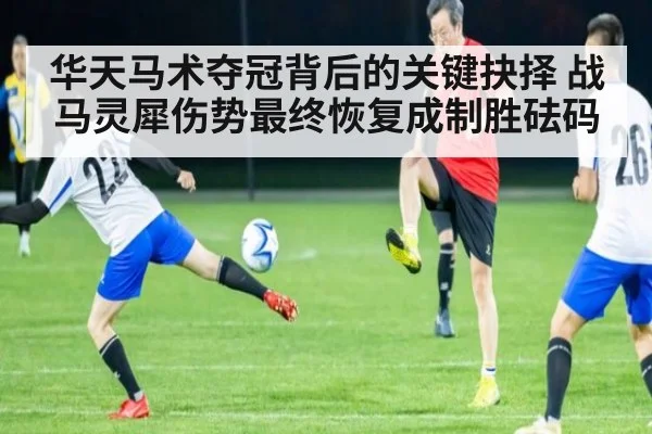 华天马术夺冠背后的关键抉择 战马灵犀伤势最终恢复成制胜砝码